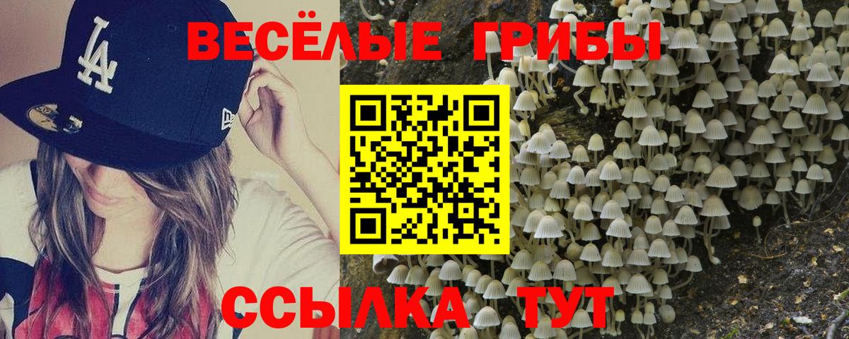 Галлюциногенные грибы Cubensis Ялта