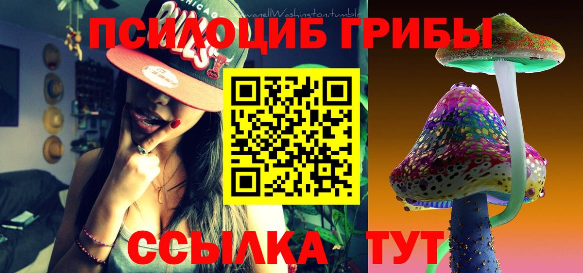 Ялта  Псилоцибиновые грибы Psilocybe  Псилоцибиновые грибы Psilocybine cubensis  Вход с VPN 